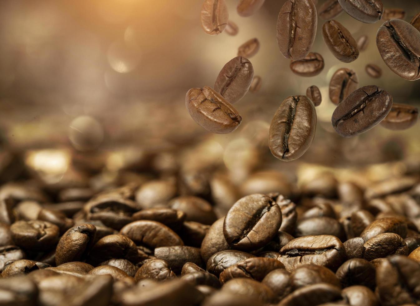 close up of coffee beans photo