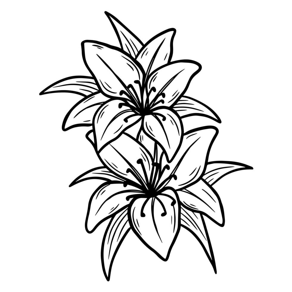 Hand Drawn Flower with leaf naturals isolated black botanical Line Art illustration vector