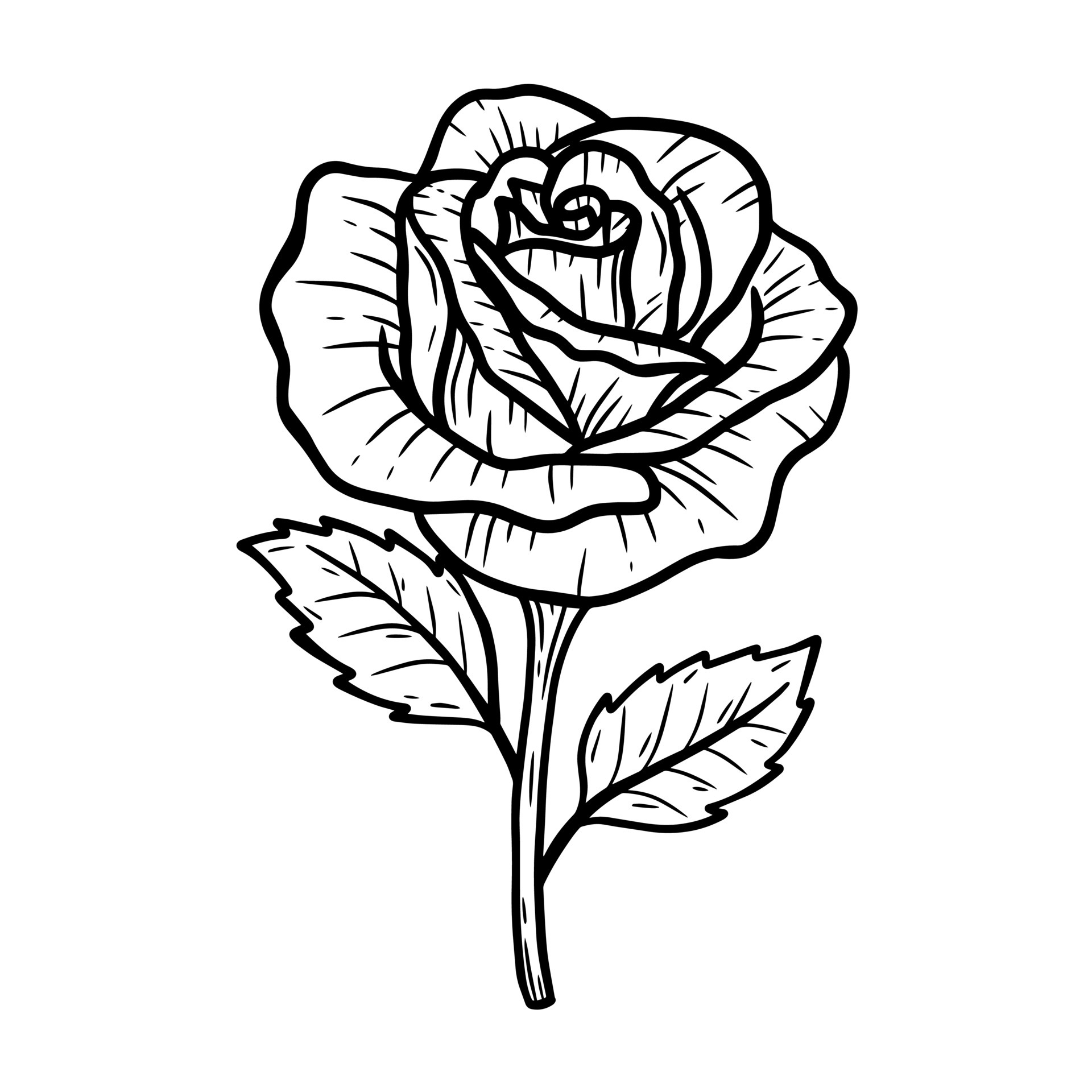 Rose And Leaf Coloring Pages