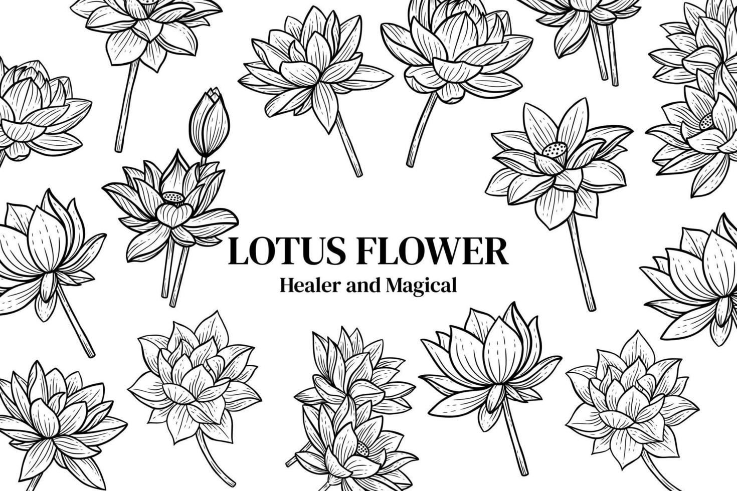 Hand Drawn Flower Lotus Background illustration vector