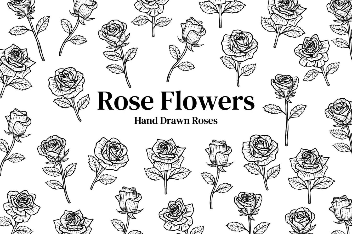 Hand Drawn Flower Rose Background illustration vector