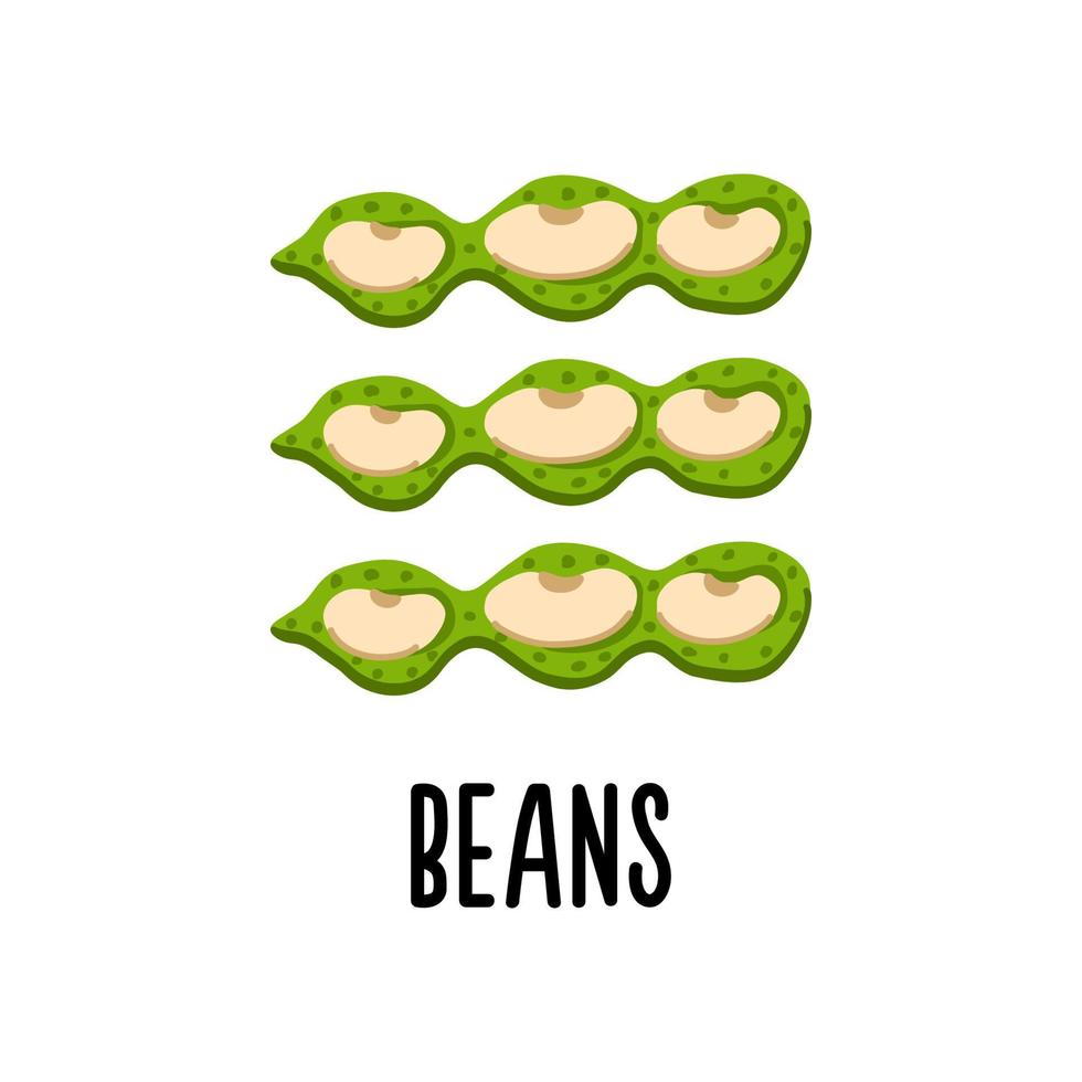 Isolated vector illustration of string beans on a white background. Clipart for the children's food directory