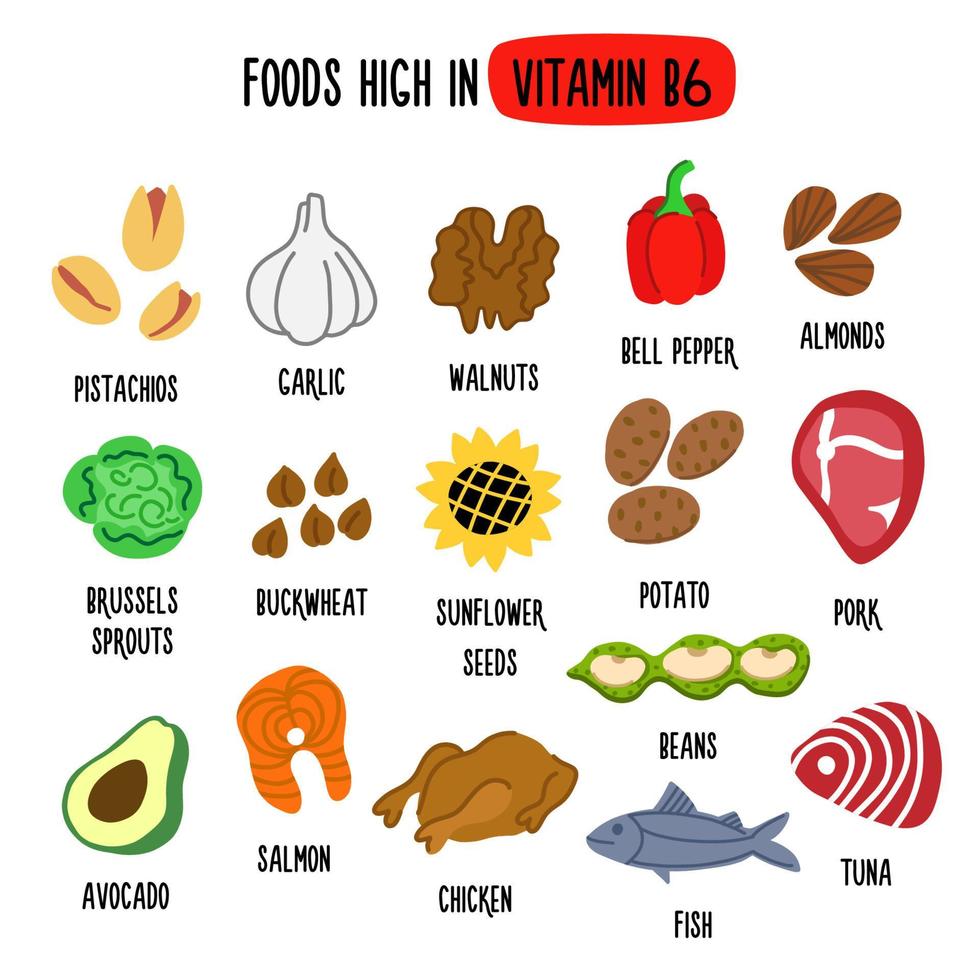 Foods High in vitamin B6. Vector illustration with healthy foods rich in vitamin B6. Organic Food Collection