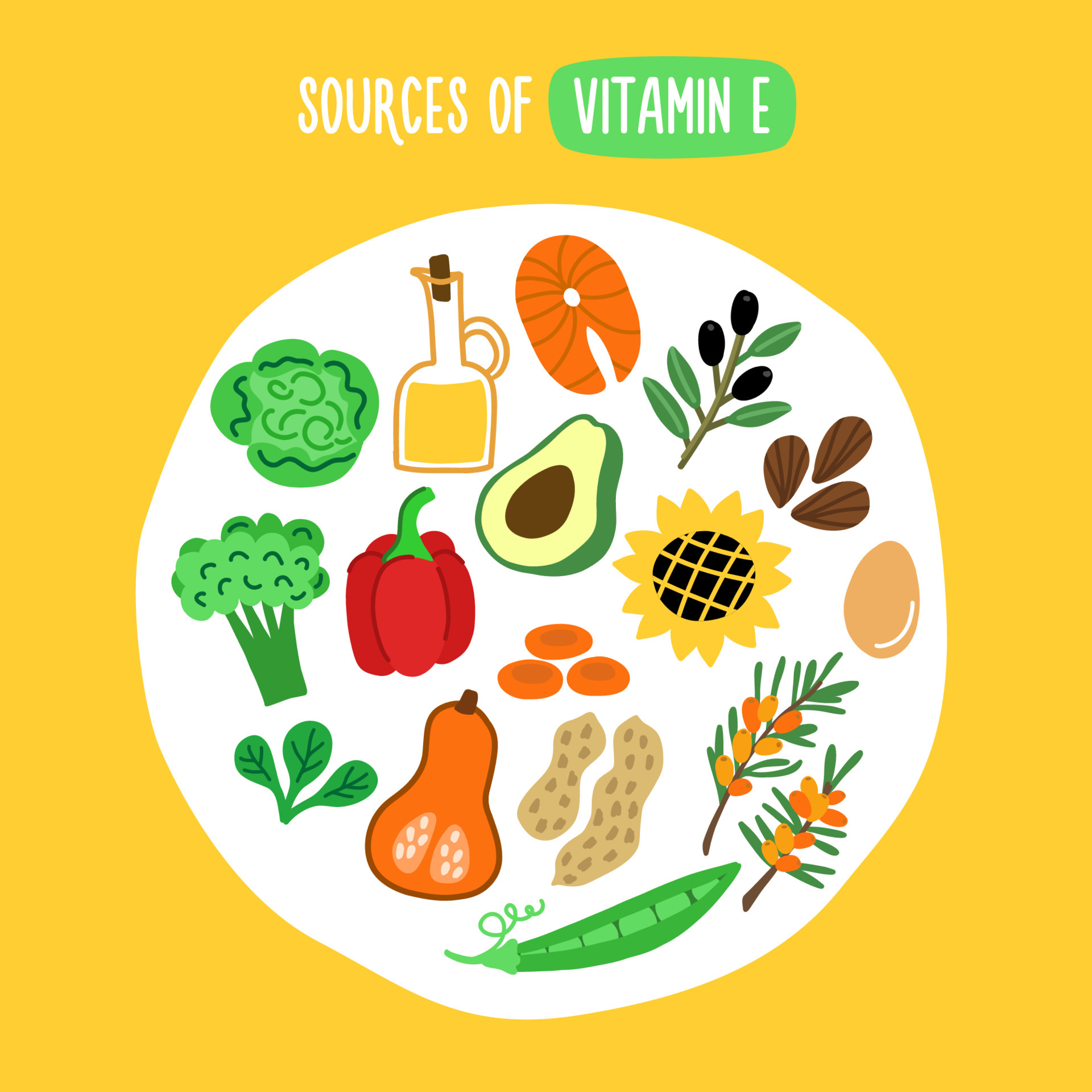 Source of vitamin E. Food rich vitamin E 5391015 Vector Art at Vecteezy
