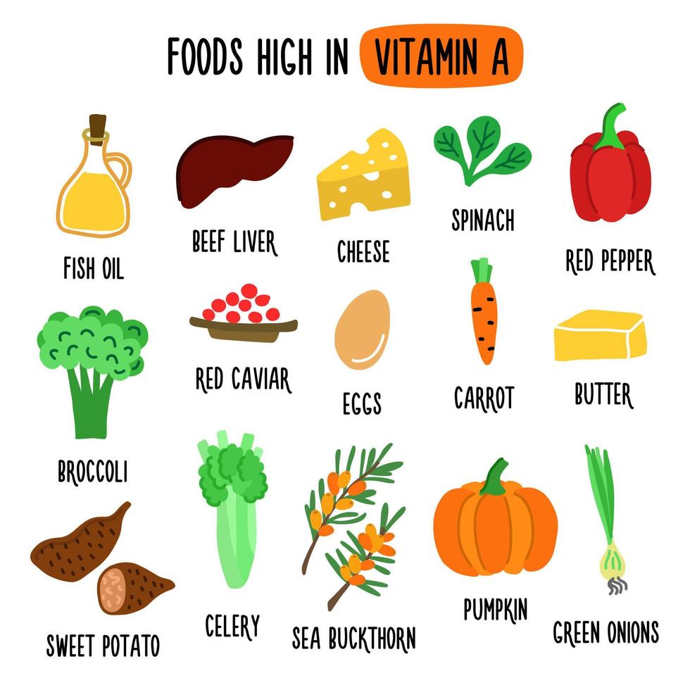 Foods High in vitamin A. Vector illustration with healthy foods rich in vitamin a. Organic Food Collection