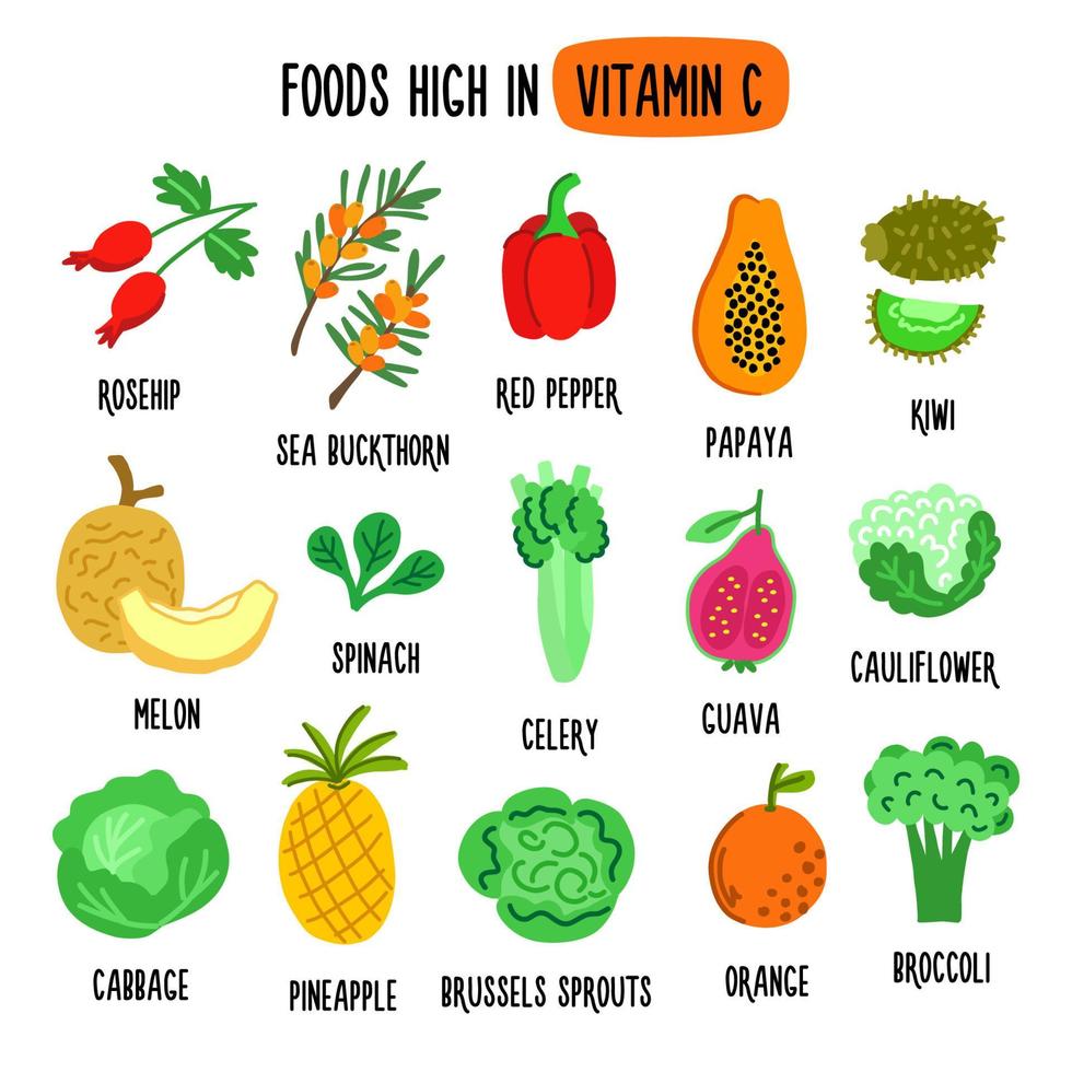 Flat vector illustration depicting foods high in vitamin C. Source of vitamin C. Healthy