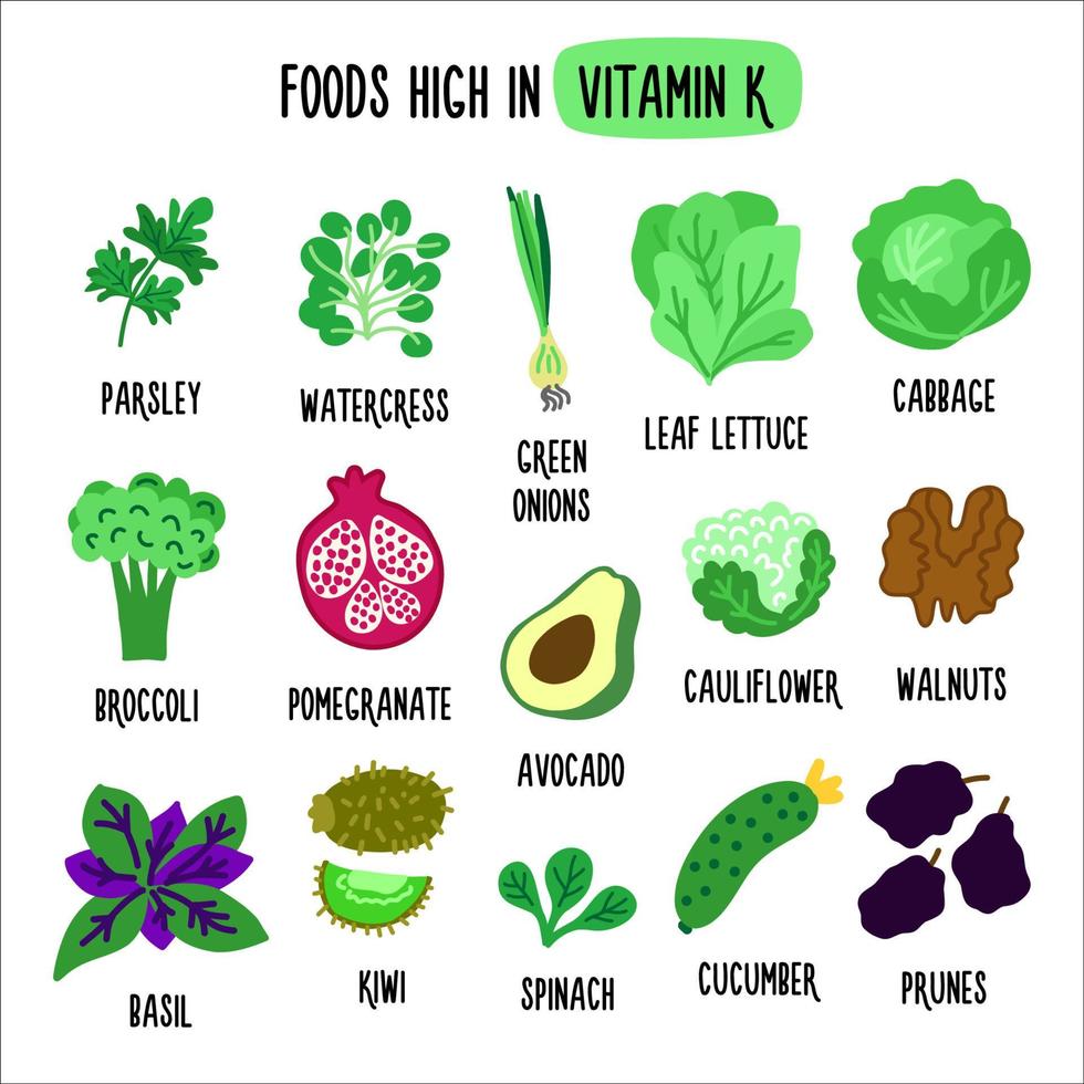 alimentos ricos en vitamina k. ilustración vectorial con alimentos saludables ricos en vitamina k. recolección de alimentos orgánicos vector