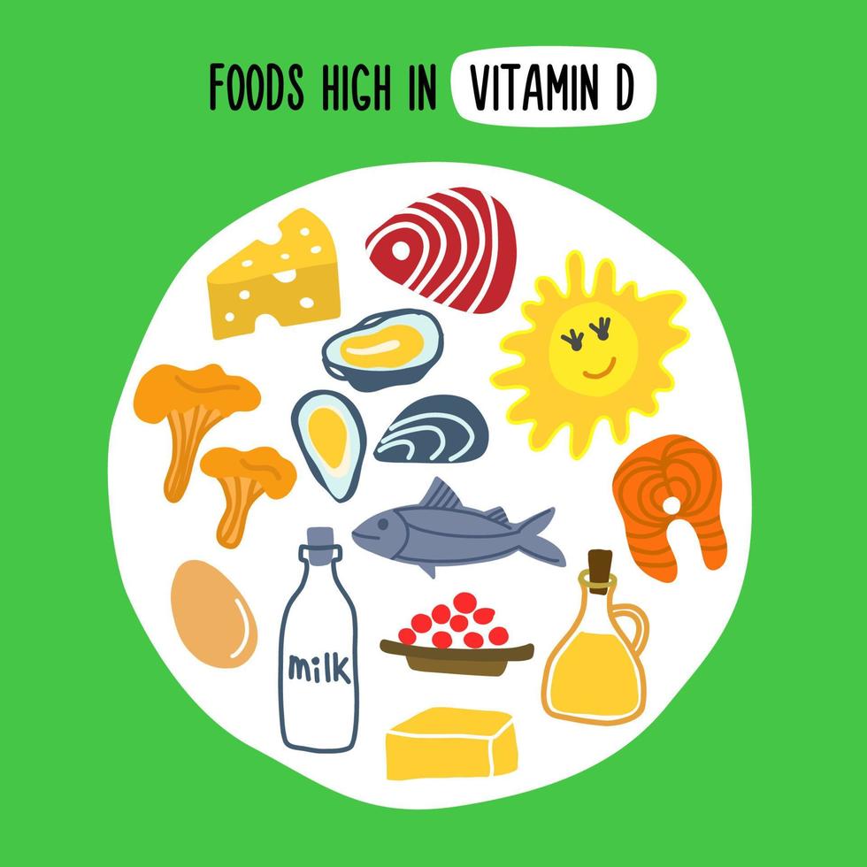 Foods rich in vitamin D. vector