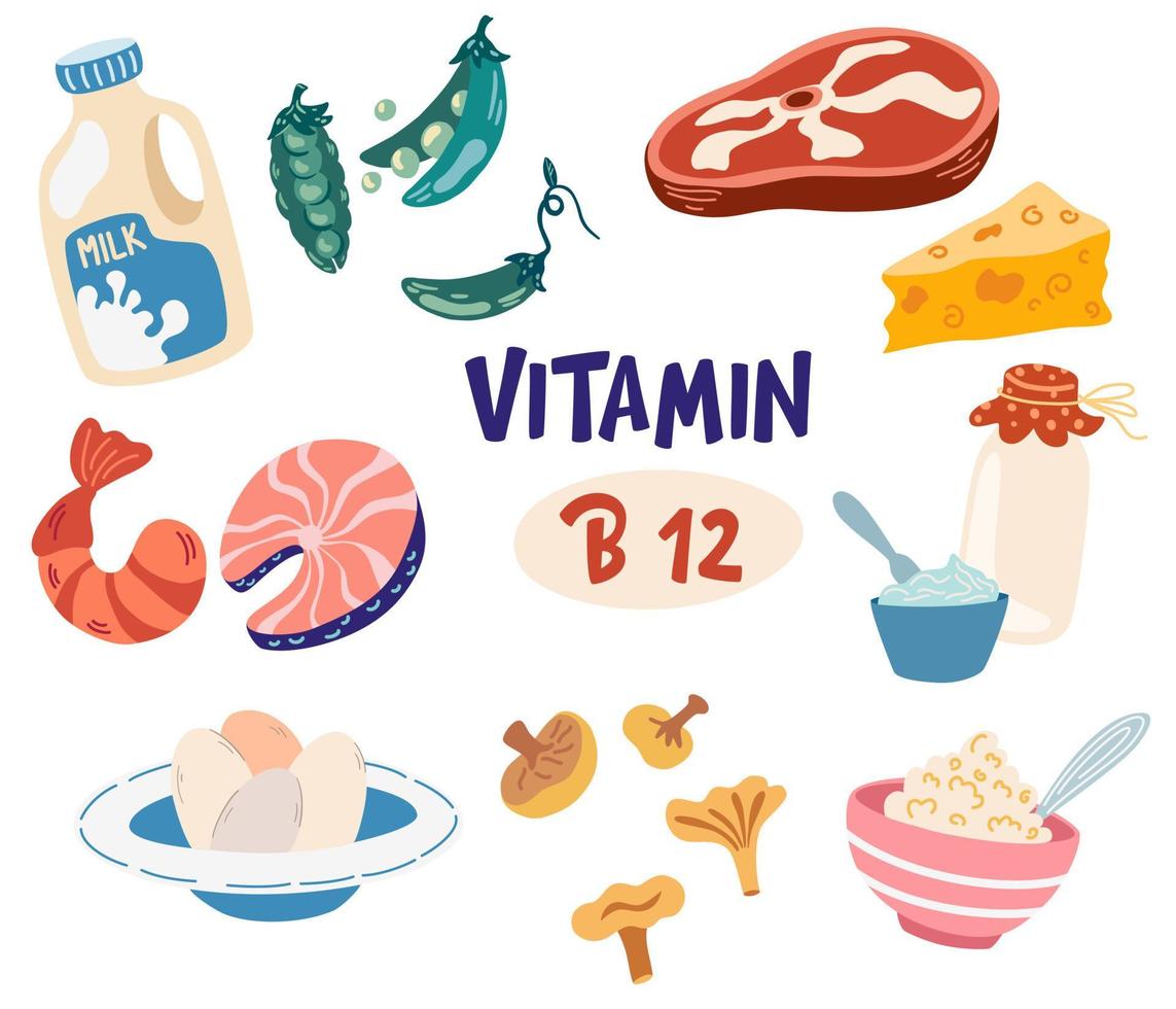 Vitamin B12 food products. Milk, yogurt, mushrooms, beef, seafood, beans and eggs. Dietary products, organic natural food. Vector cartoon illustration isolated on the white background.