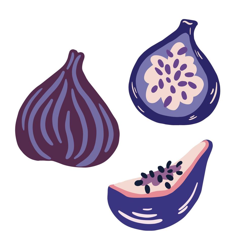Figs. Whole exotic fruit, cut figs, half and quarter. Summer tropical fruits for a healthy lifestyle. Vector cartoon illustration isolated on the white background.