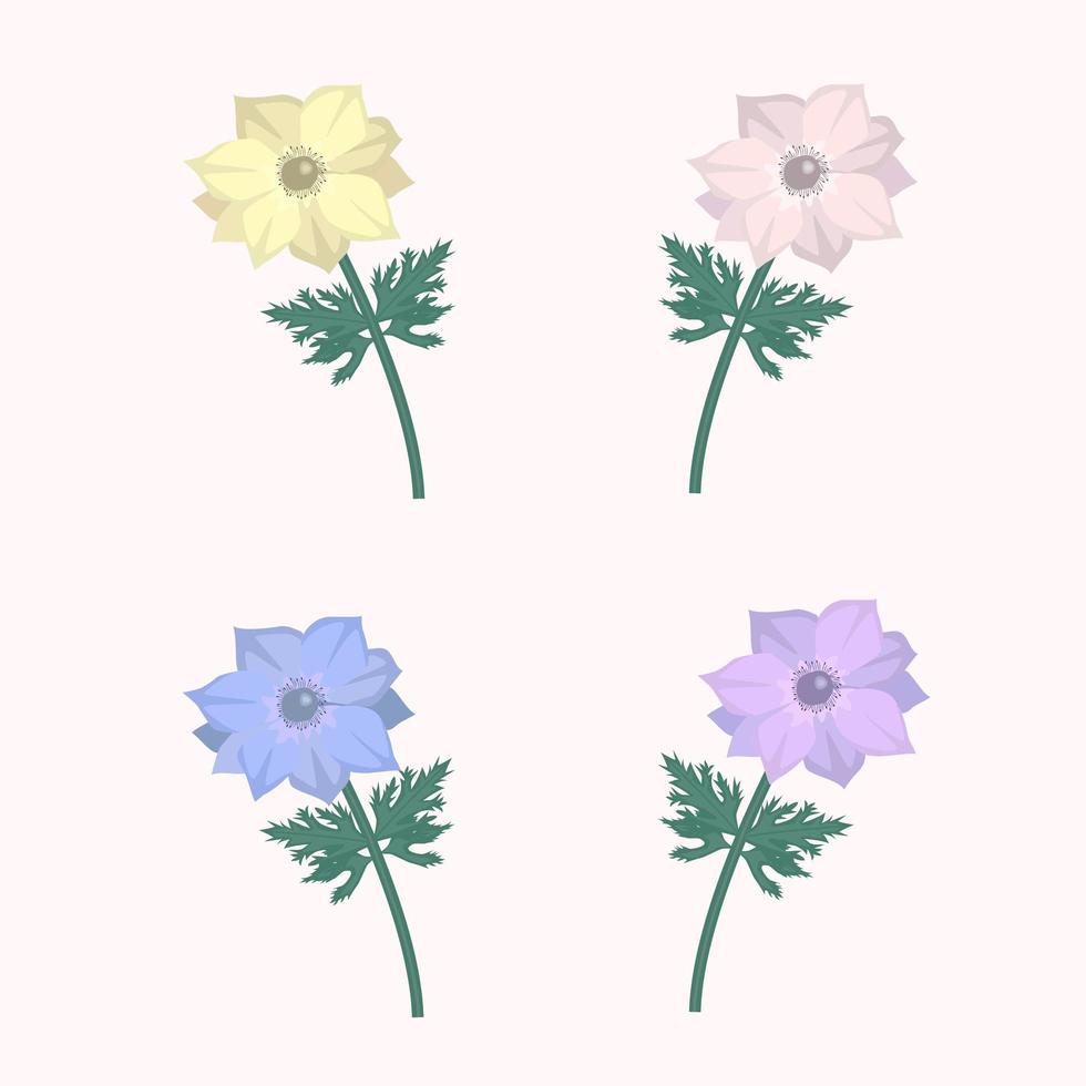 floral set with different color anemone flowers vector