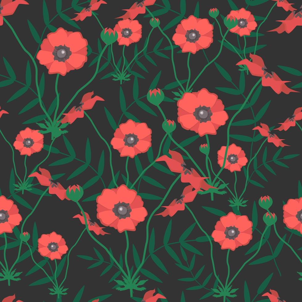 Seamless pattern with poppy flower. Summer garden wildflowers vector