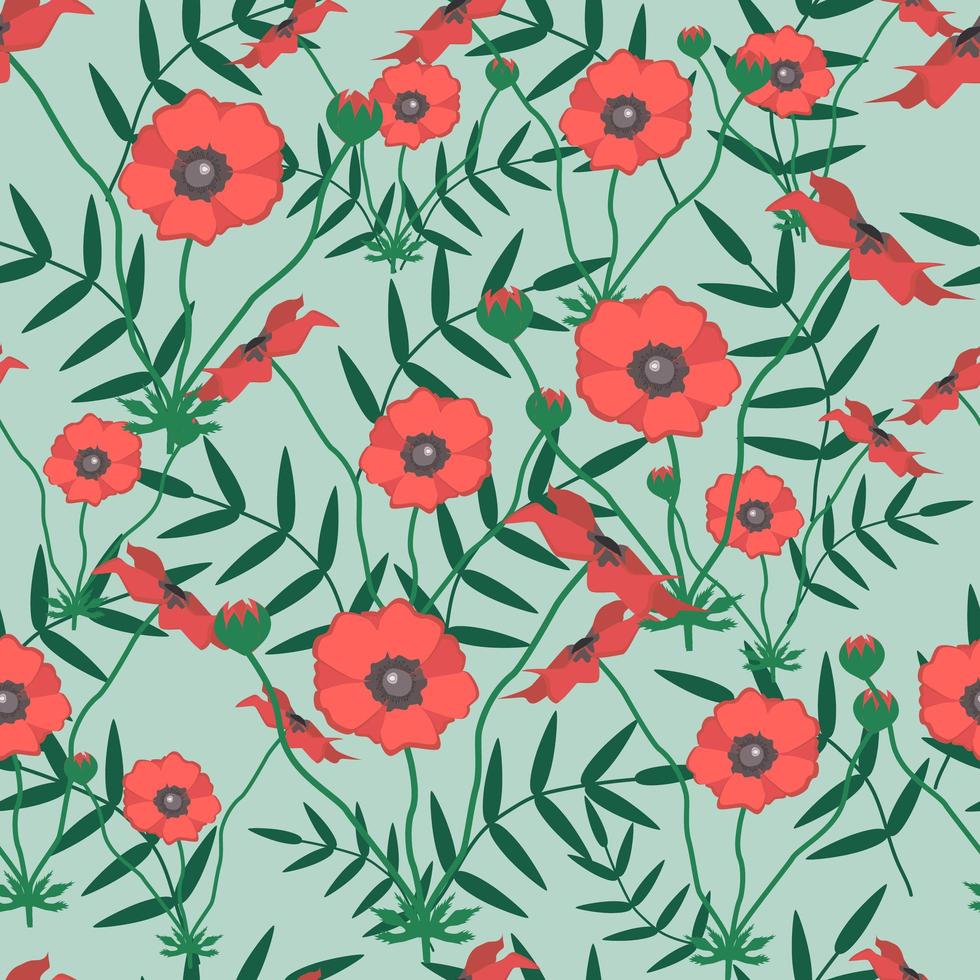 Seamless pattern with poppy flower. Summer garden wildflowers vector