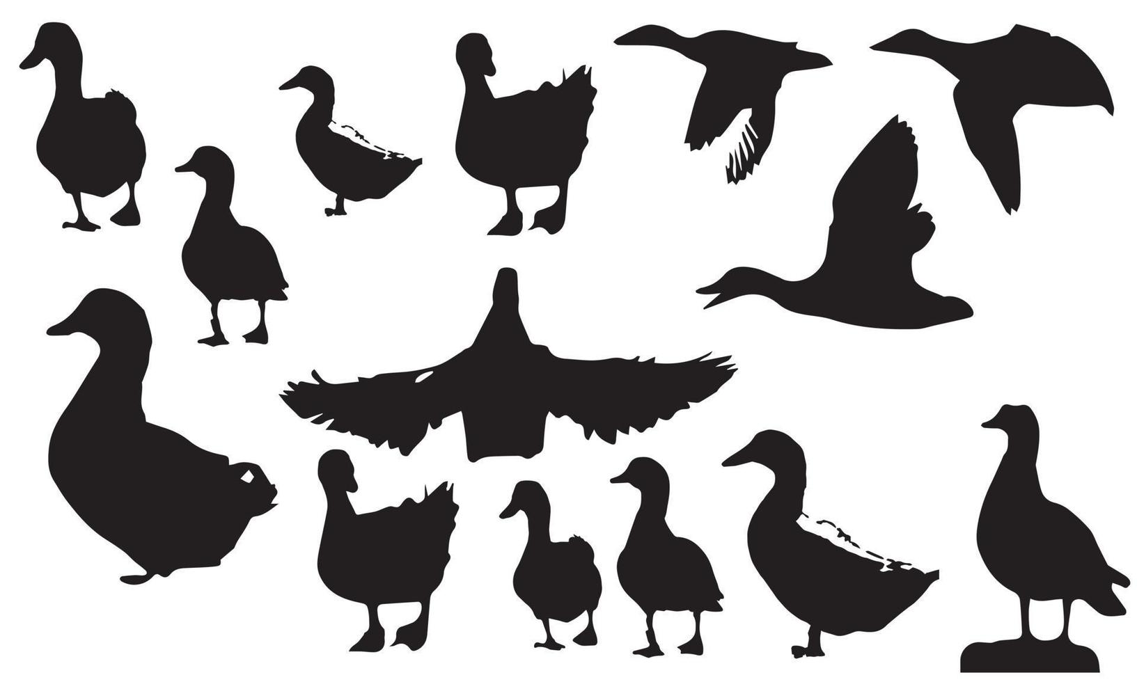 siluetas de diseño vectorial de la colección de patos vector