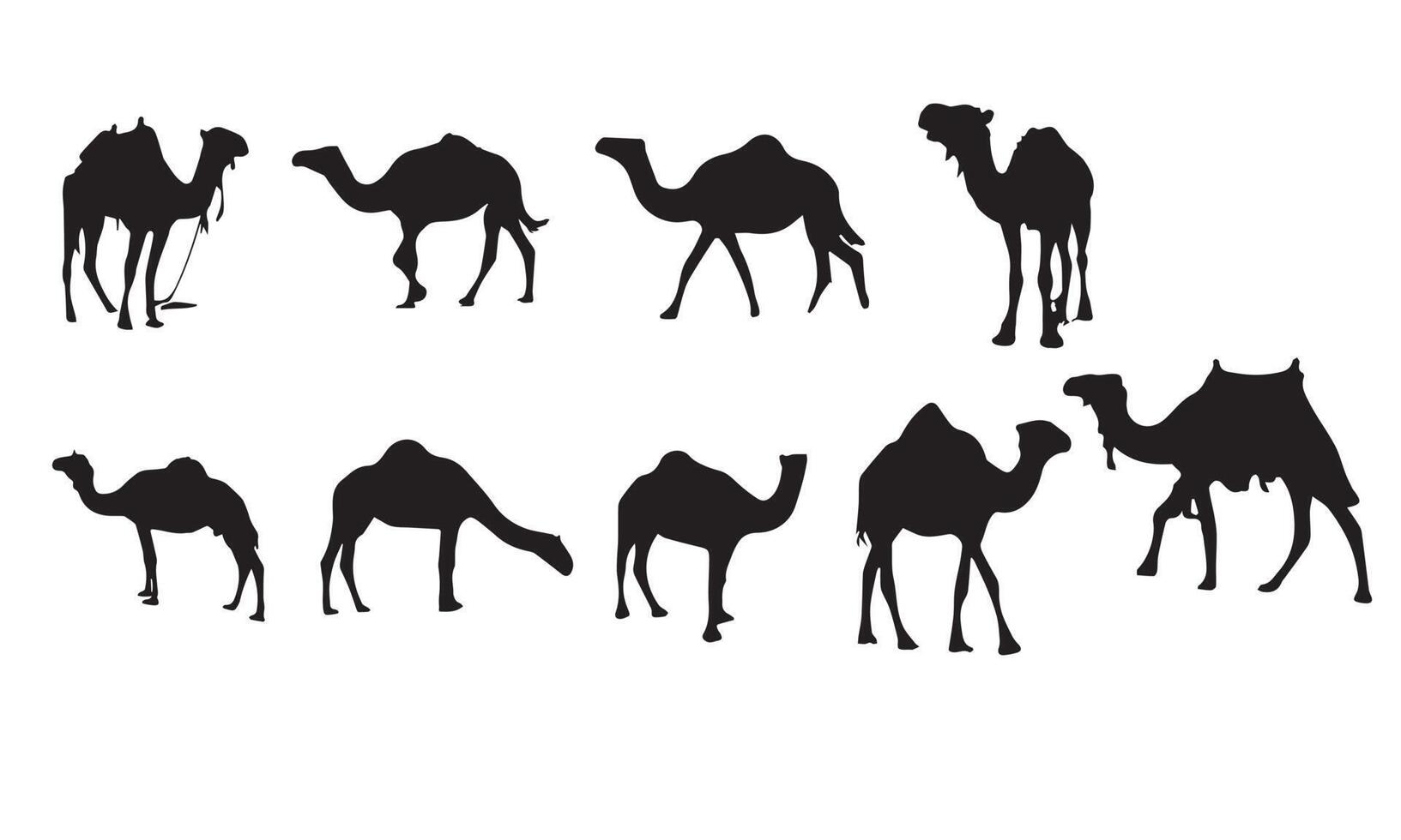 camel vector illustration design collection