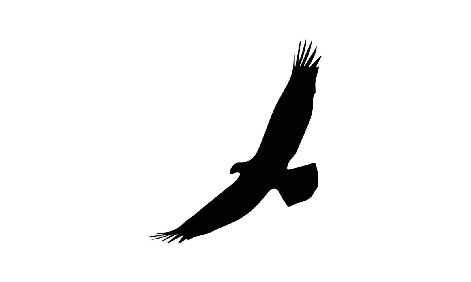 eagle silhouette vector illustration design