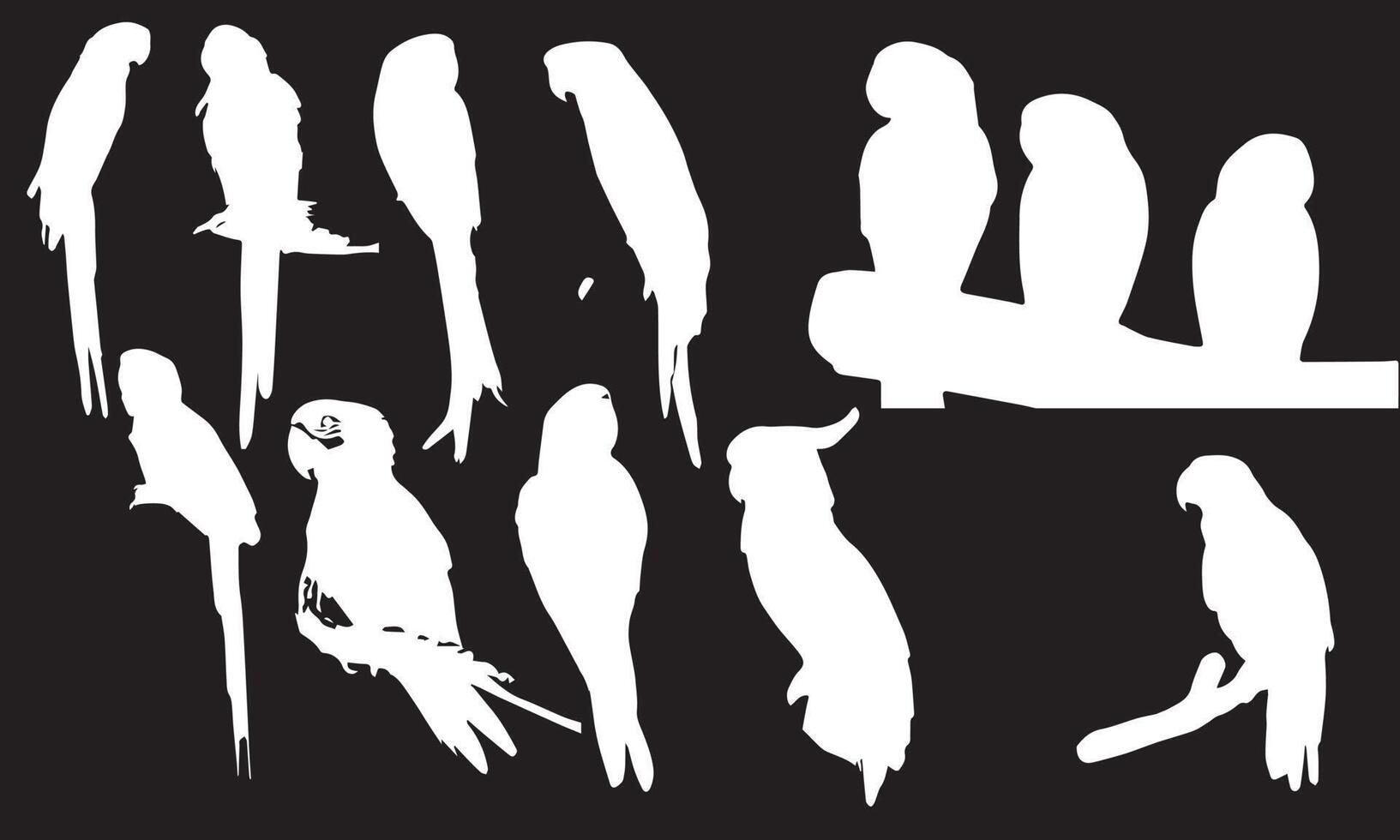 Vector parrot silhouettes of amazon jungle isolated on black and white background collection