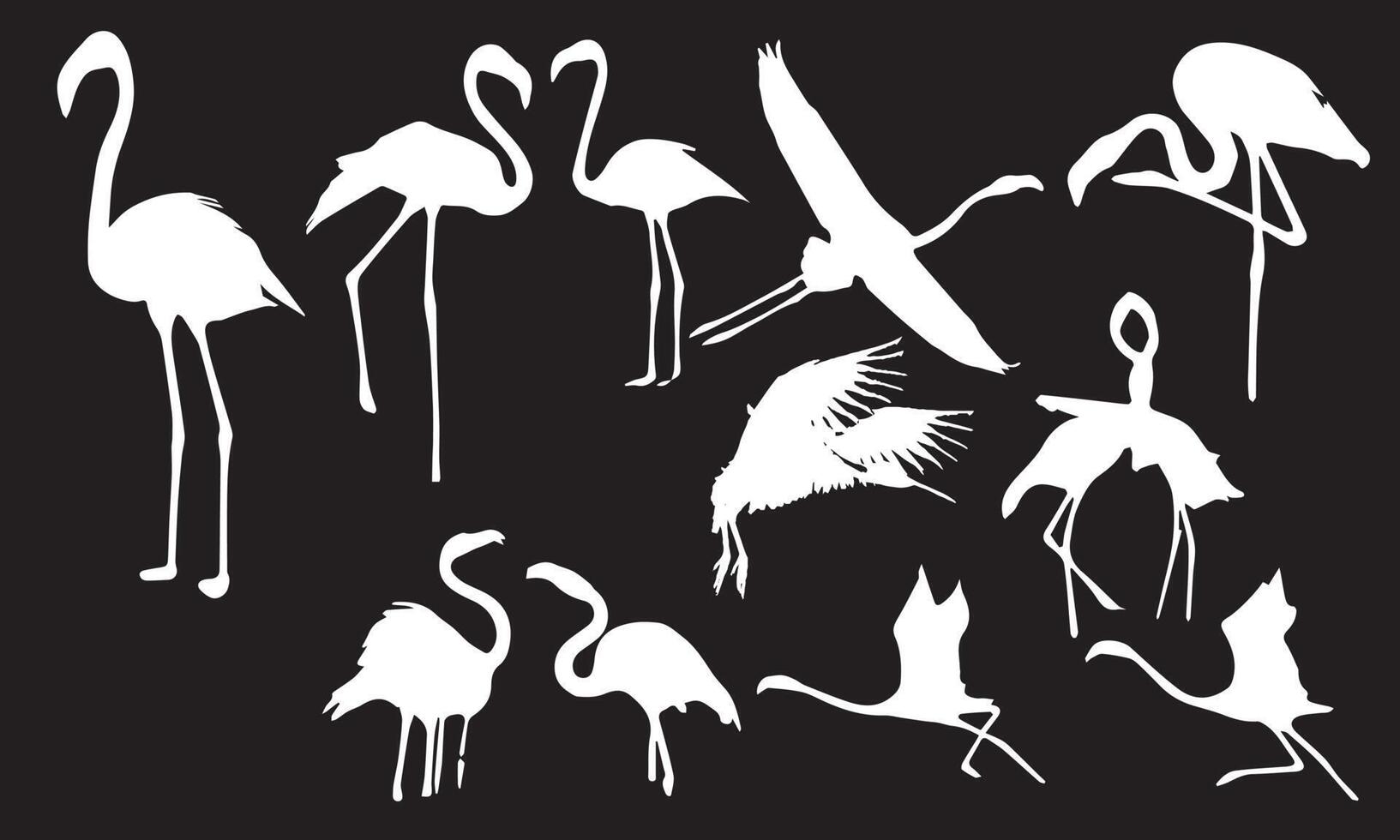 flamingo silhouette vector illustration design