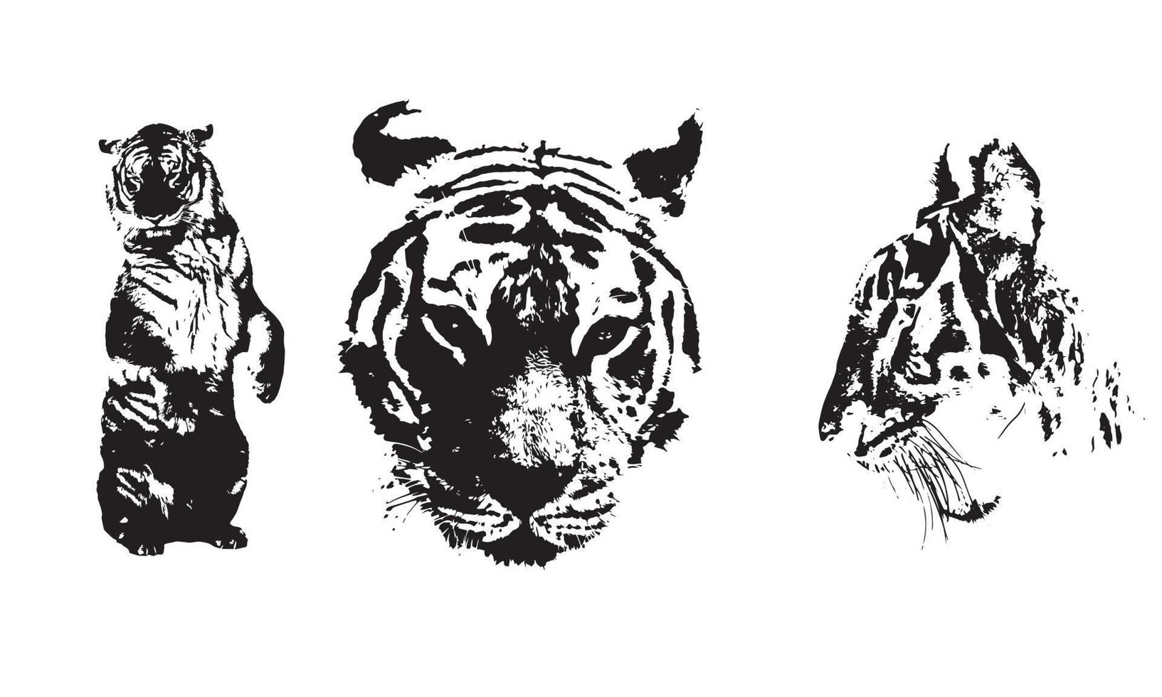 head tiger vector silhouette illustration white background set