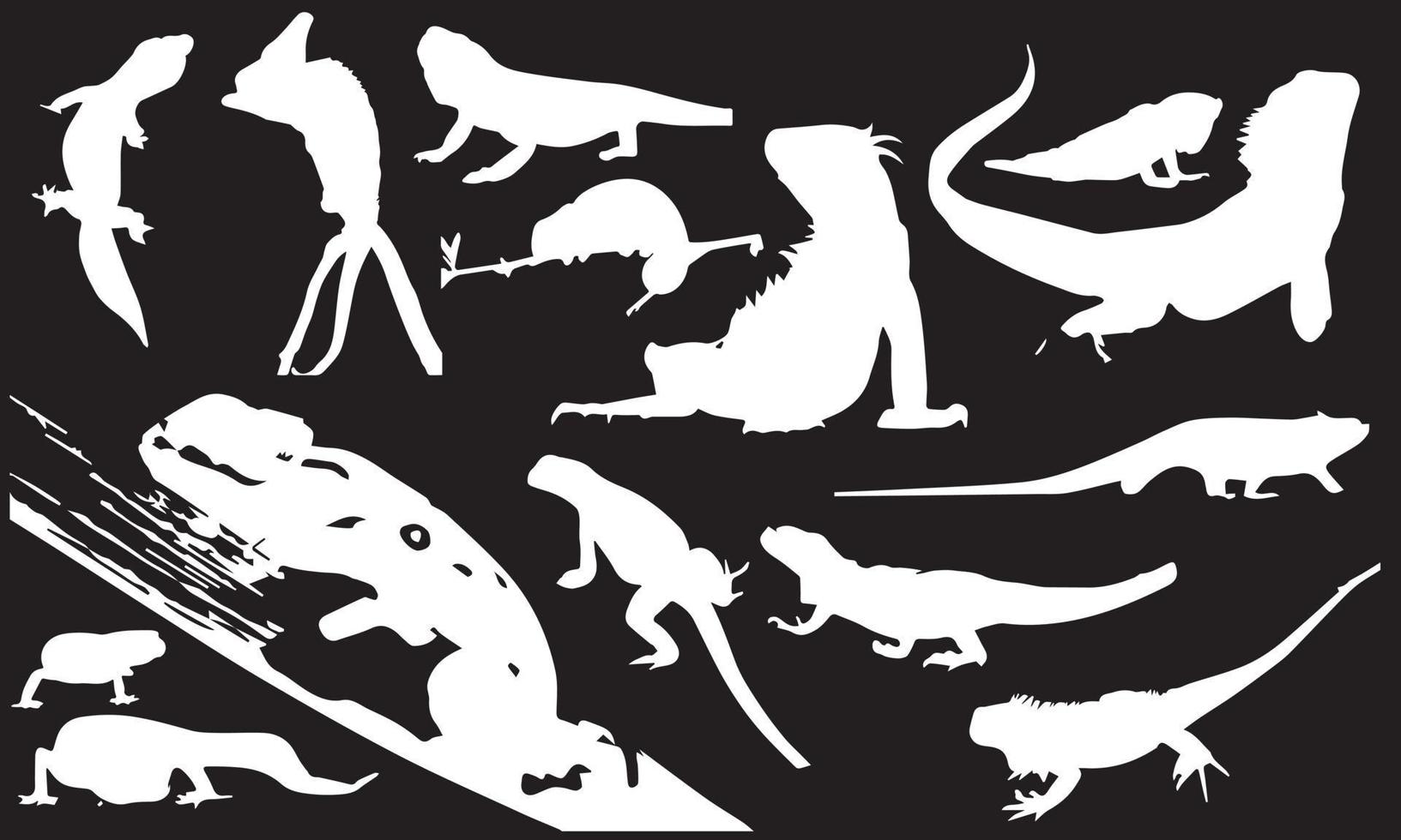 colección de fondo blanco y negro de diseño de ilustración vectorial de reptiles vector