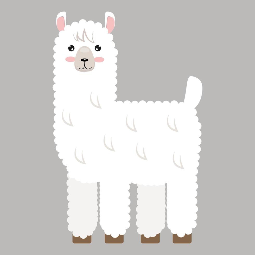lama flat style.lindo dibujo animal para textiles infantiles, postales.ilustración vectorial vector