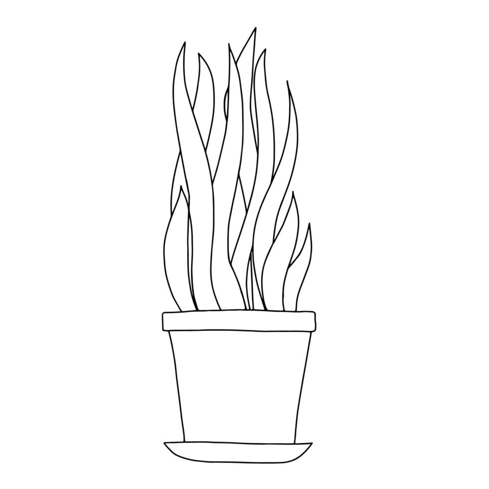 Indoor flowers in a pot in the style of Doodle.Contour hand drawing.Black and white image.Coloring.Vector illustration vector