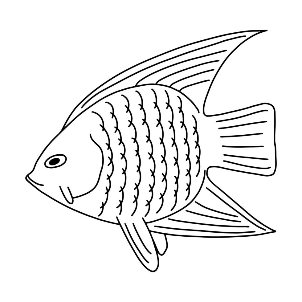 The fish of the sea or river.Coloring pages for adults or children.Black and white image.Doodle coloring book.Vector illustration vector