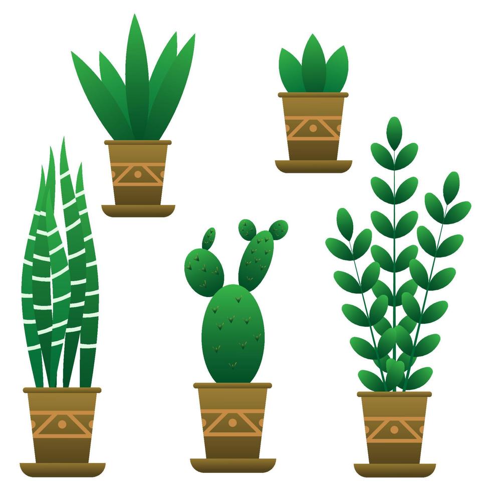 Set of indoor flowers.Green flowers in brown pots.A pot with a geometric pattern.Interior item.Vector illustration vector