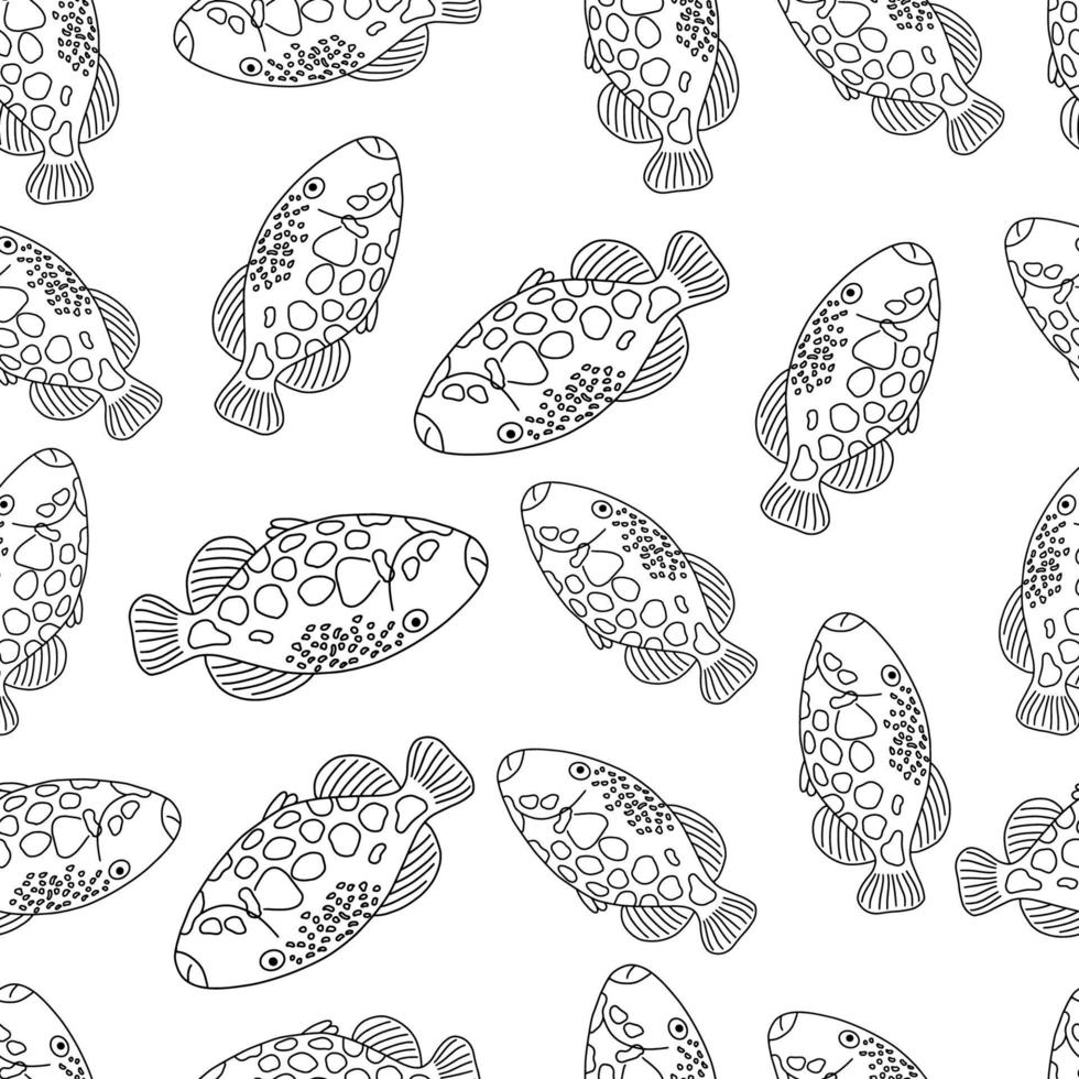 Seamless pattern with fish.A fish with a large sharp fin.Marine theme.Doodle style.Black and white image.Vector illustration vector