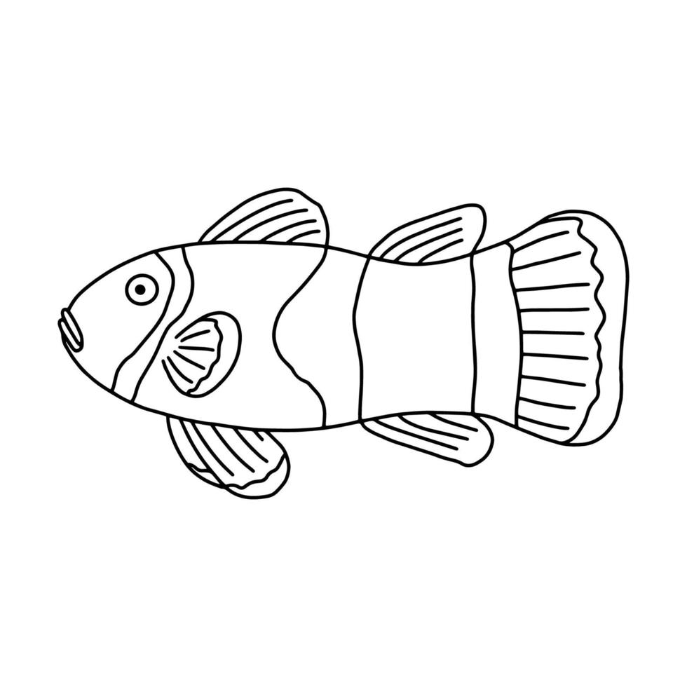 The fish of the sea or river.Coloring pages for adults or children.Black and white image.Doodle coloring book.Vector illustration vector