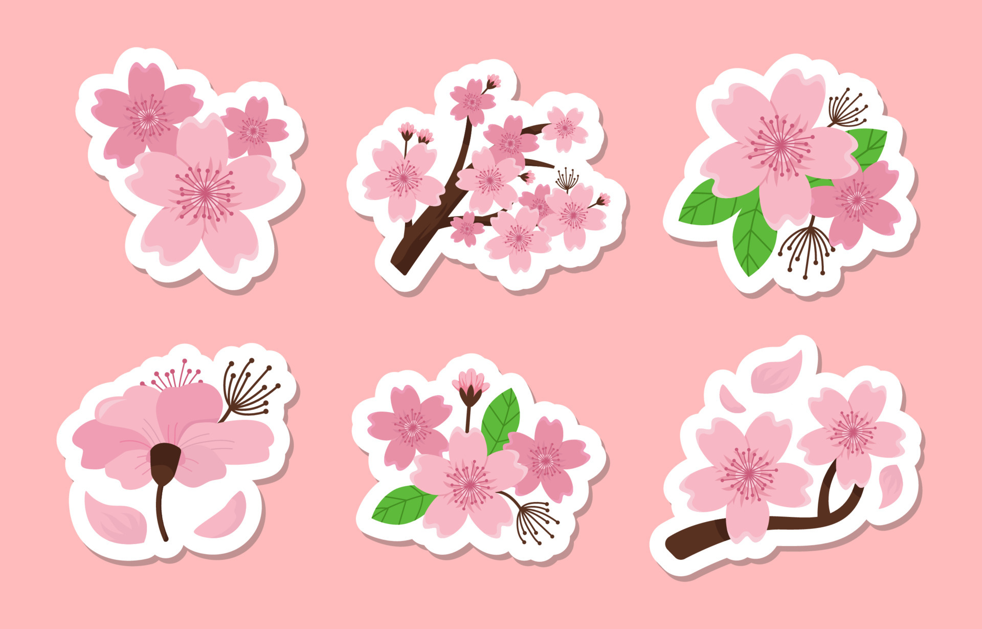 Set of Cherry Blossom Stickers 5399369 Vector Art at Vecteezy