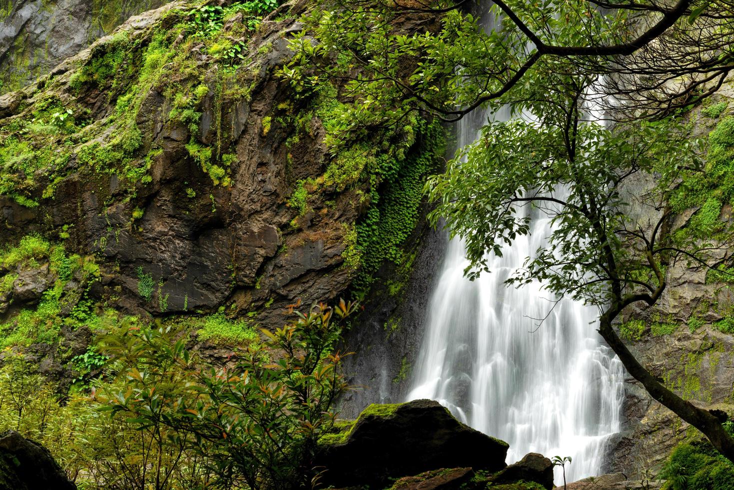 Beautiful waterfall in the national park forest at Khlong Lan Waterfall, Kamphaeng Phet Thailand photo