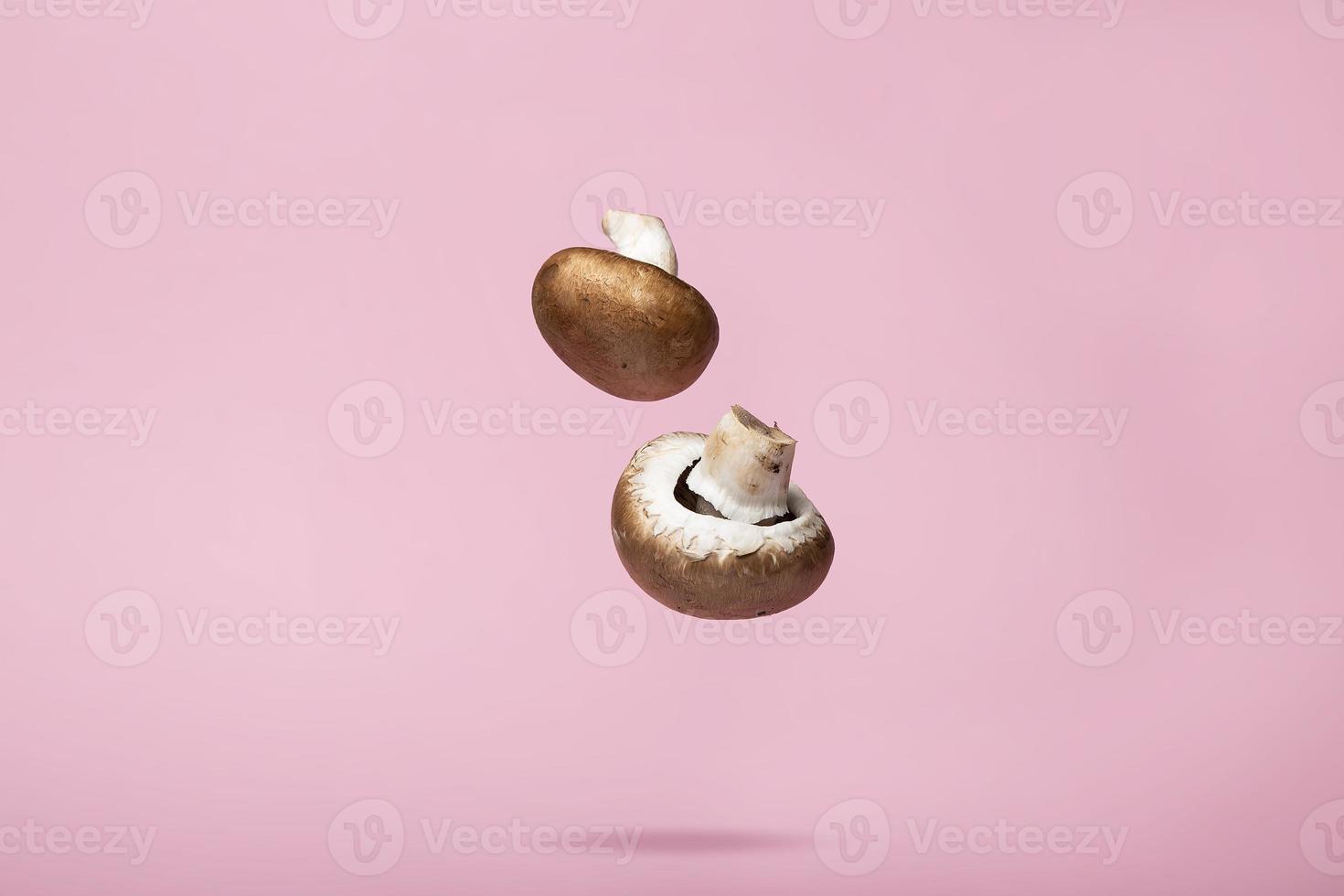 Flying Mushroom Abstract Food Background photo
