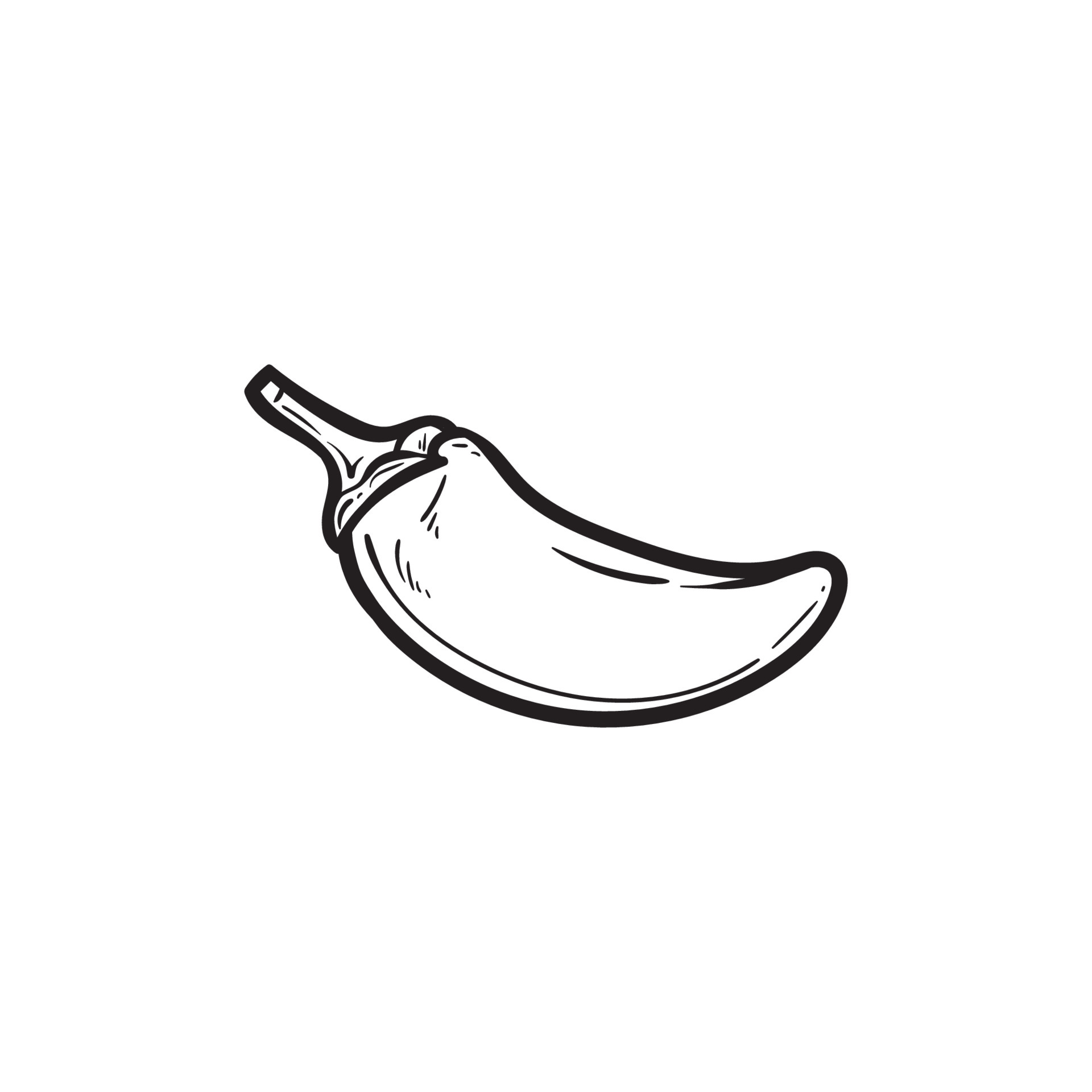 line drawing red chili pepper, line art drawing chilli pepper. vector