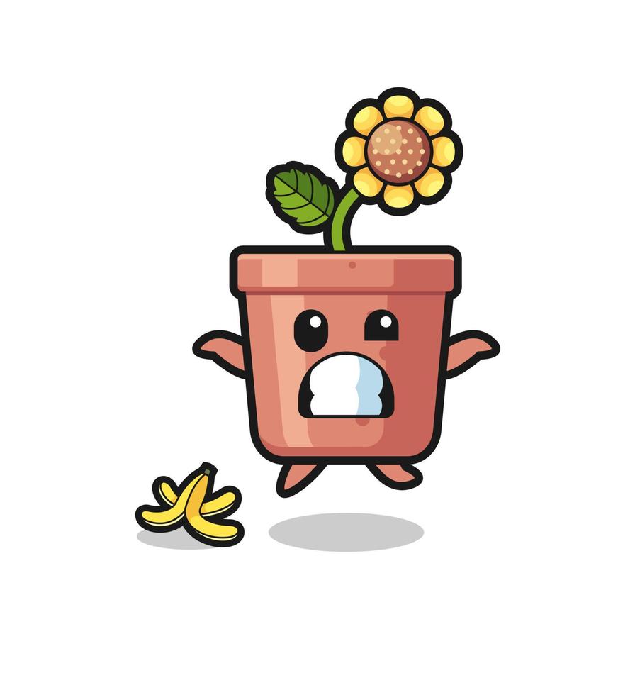 sunflower pot cartoon is slip on a banana peel vector