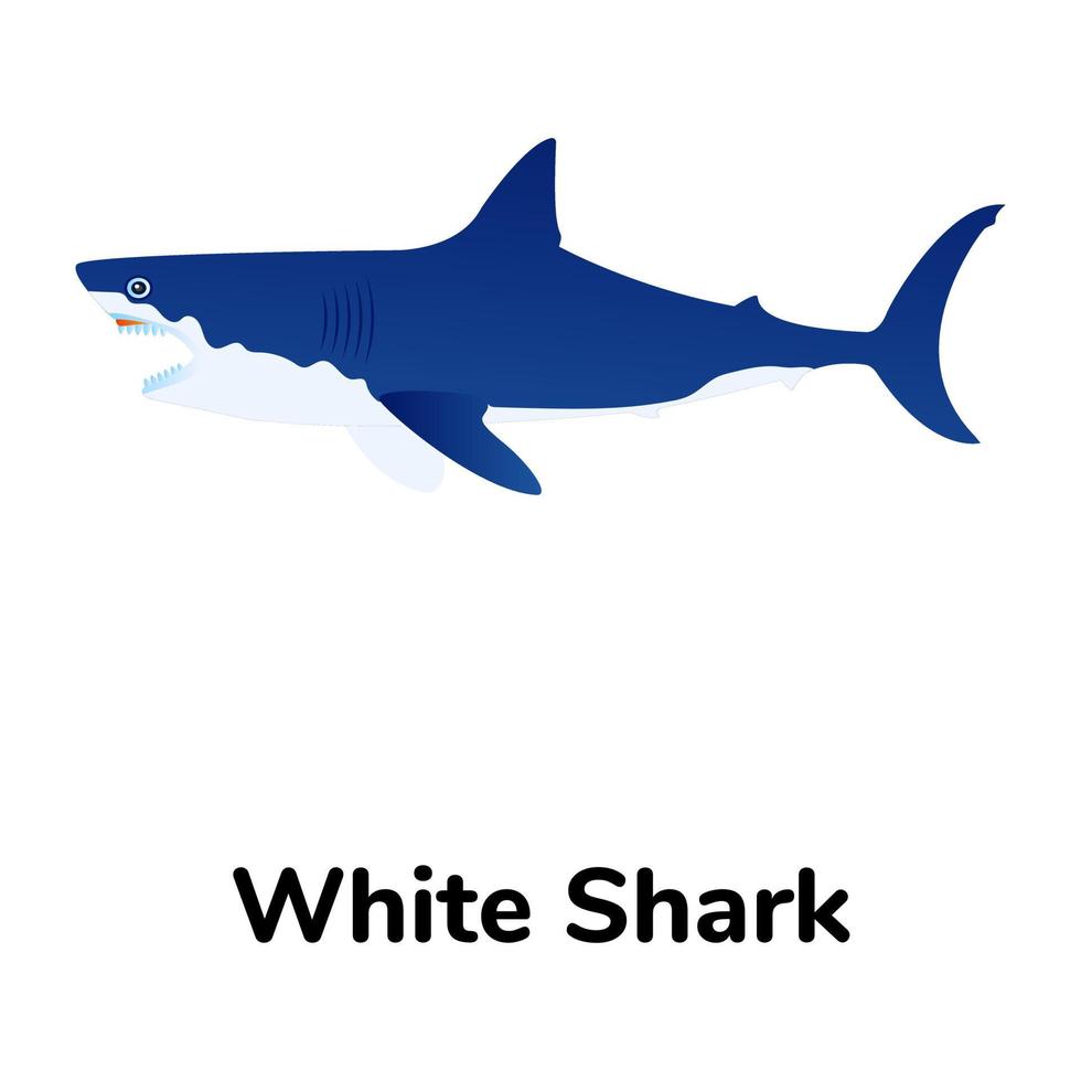 A freshwater fish flat icon vector