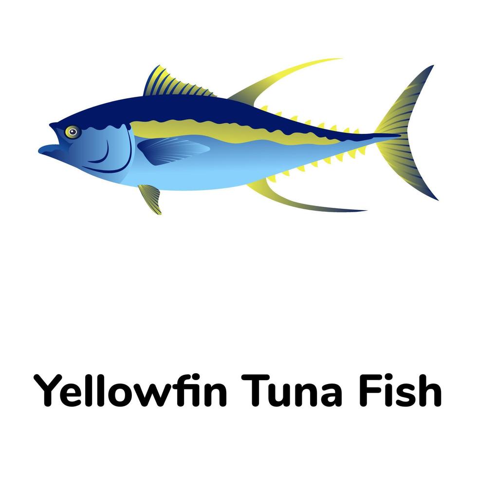 A freshwater fish flat icon vector