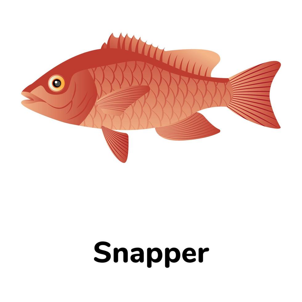 A freshwater fish flat icon vector