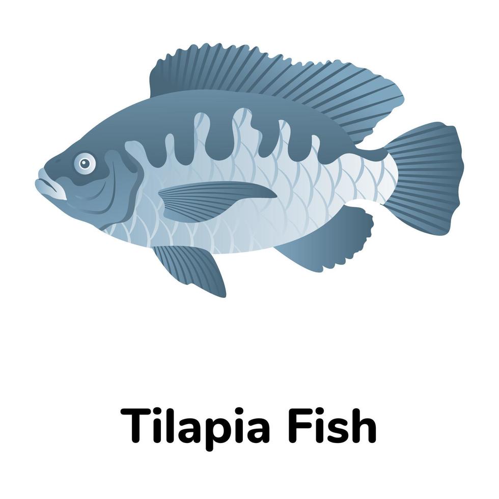 A freshwater fish flat icon vector