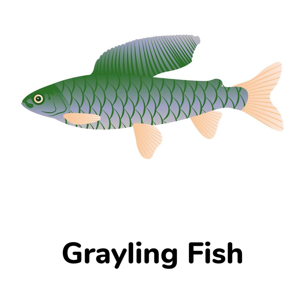 A freshwater fish flat icon vector