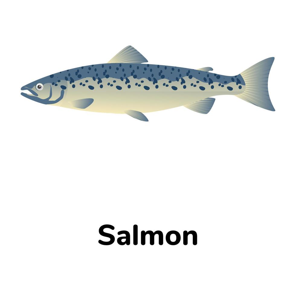 A freshwater fish flat icon vector