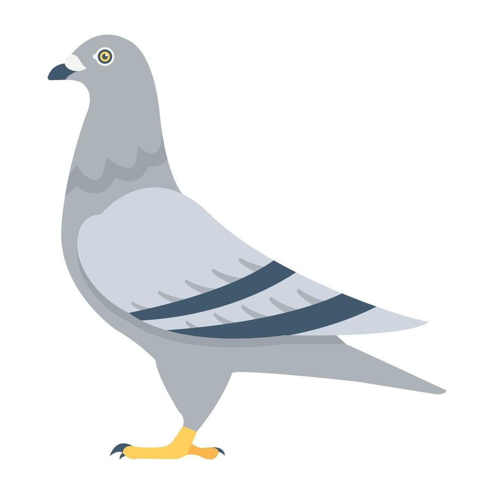 Trendy Pigeon Concepts vector