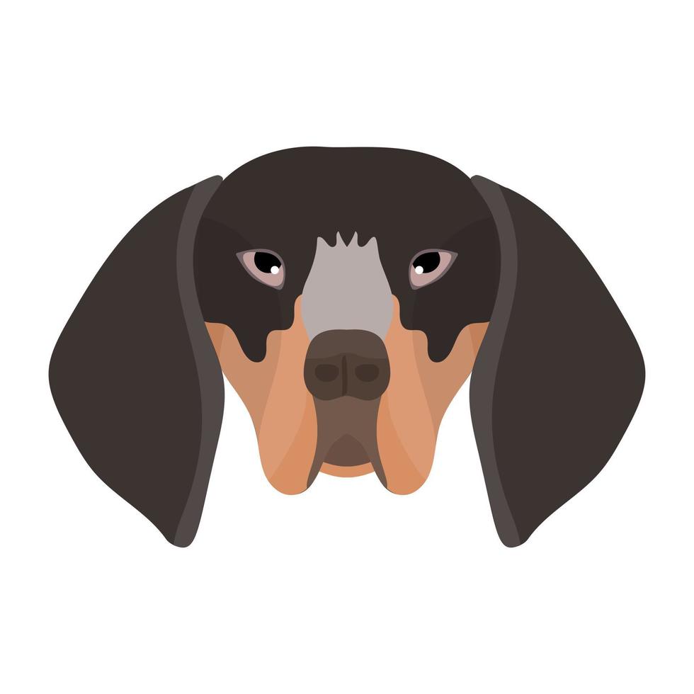 vector de perro sabueso