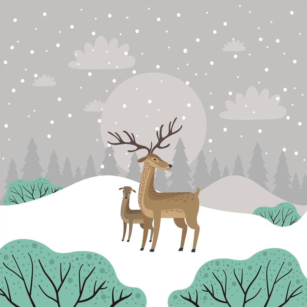 reindeer family in snowscape vector