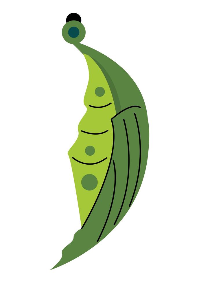 green cocoon caterpillar vector