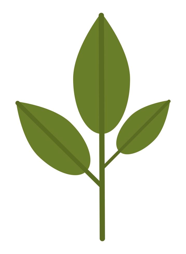 branches with leafs vector