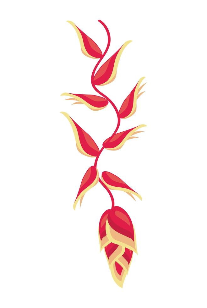 exotic heliconia flower vector