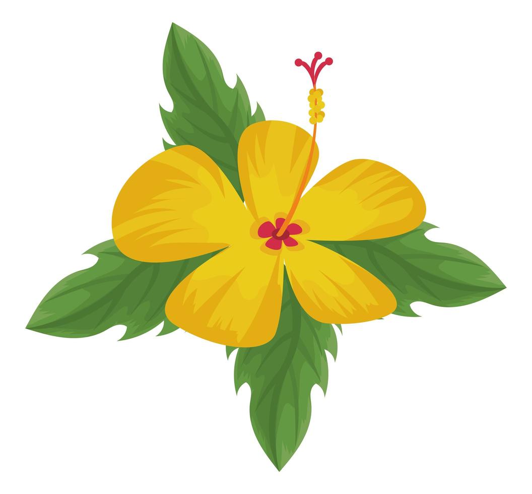 yellow exotic flower vector