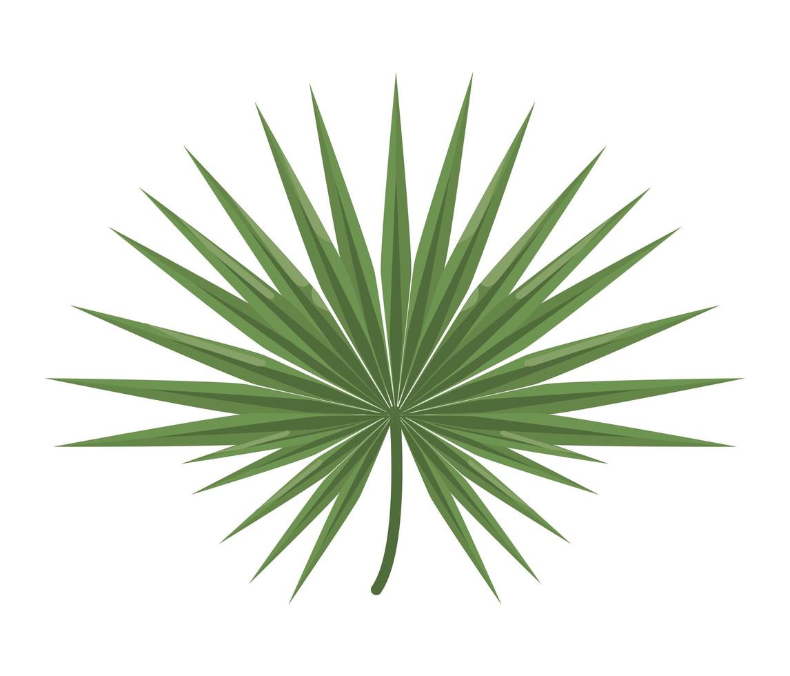 green exotic leave vector