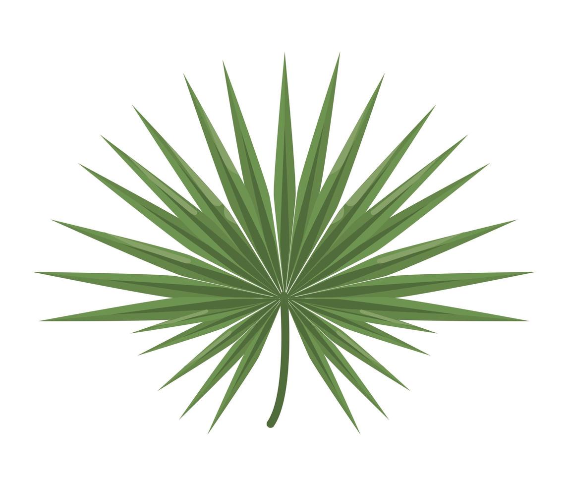 green exotic leave vector